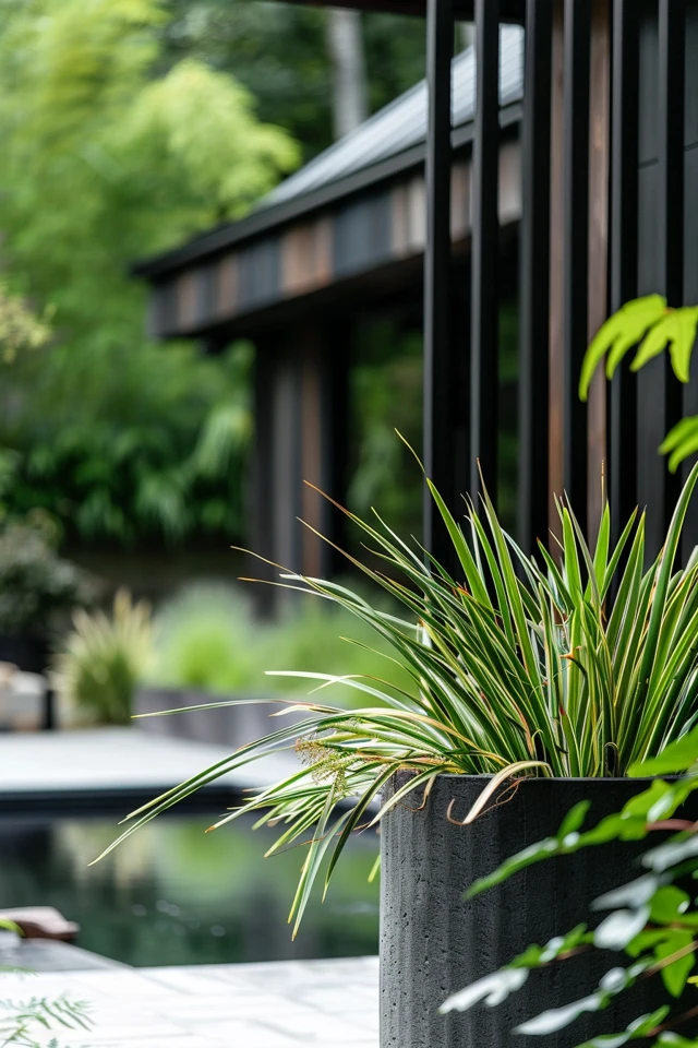 Hiding Pool Equipment with Plants