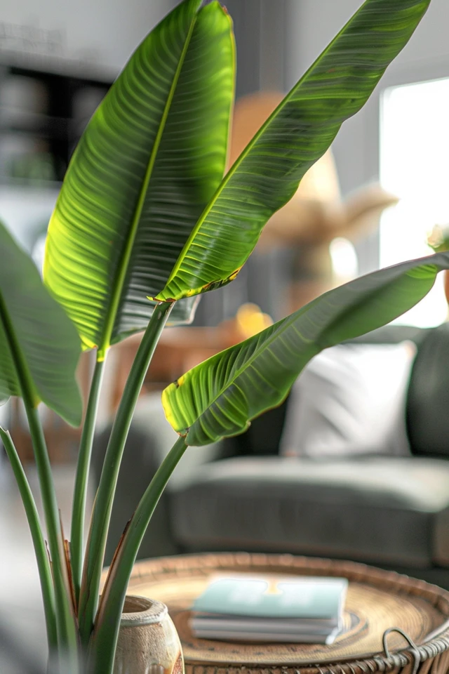 How to Create a Scandinavian Living Room - photo 2