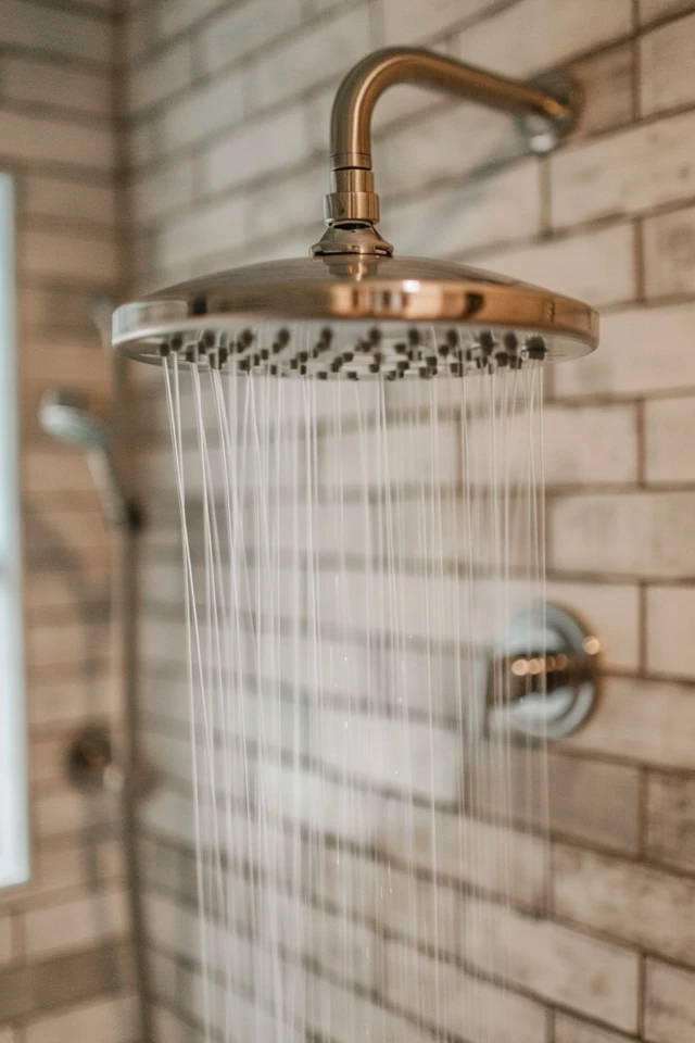 Top-rated Dual Shower Heads