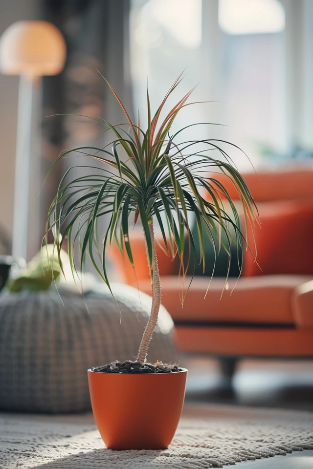 How To Prune A Ponytail Palm For Healthy Growth