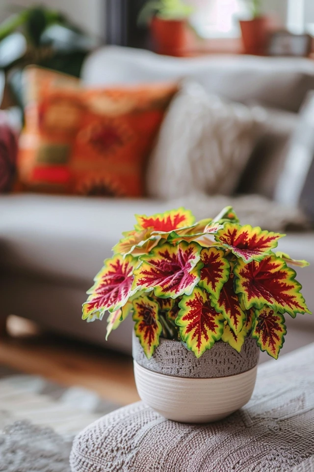 How To Trim Coleus For Bushy Growth And Vibrant Foliage
