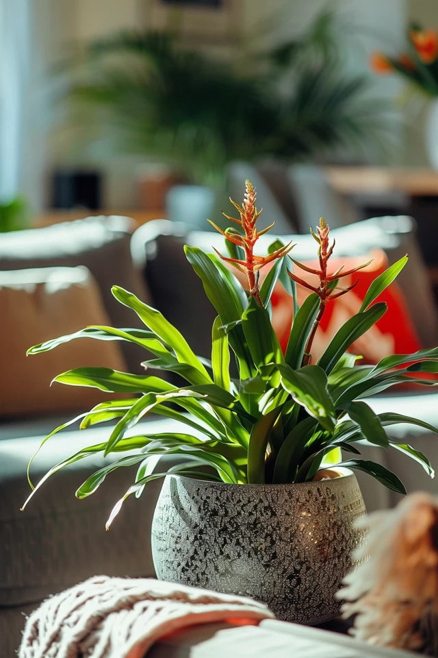 How To Repot A Staghorn Fern For Thriving Growth