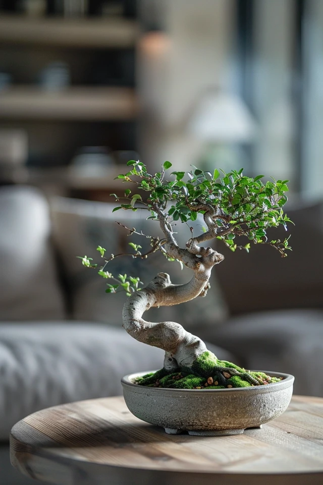 How To Tell What Bonsai Tree I Have: Identification Guide