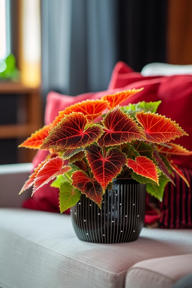 Key Care Techniques for Maximizing Coleus Growth