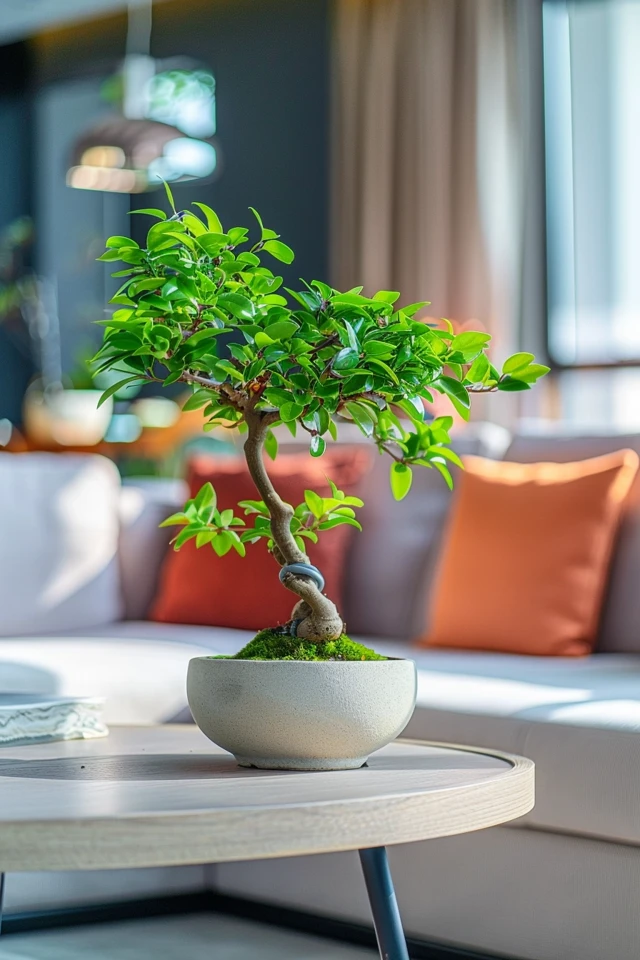 Selecting the Right Material and Establishing Attractive Roots