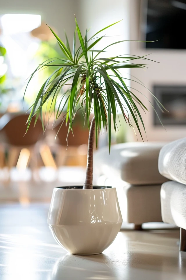 Waiting for the Plant to Flower