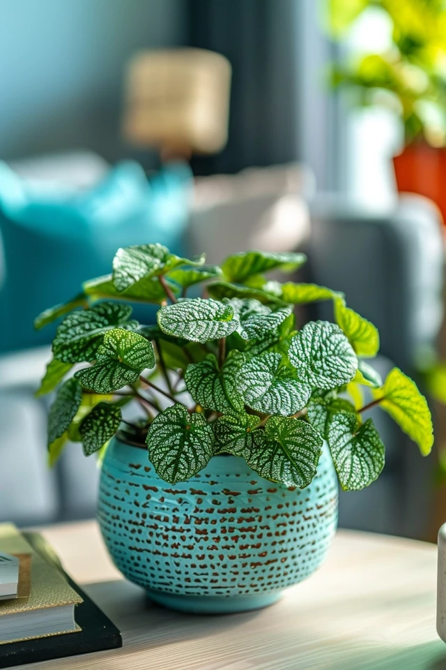 Providing Proper Lighting for Fittonia