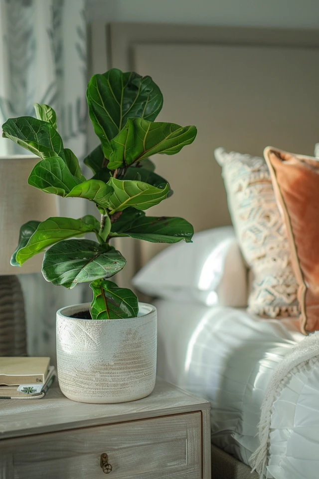 How To Fix Root Rot In A Fiddle Leaf Fig: Plant Recovery