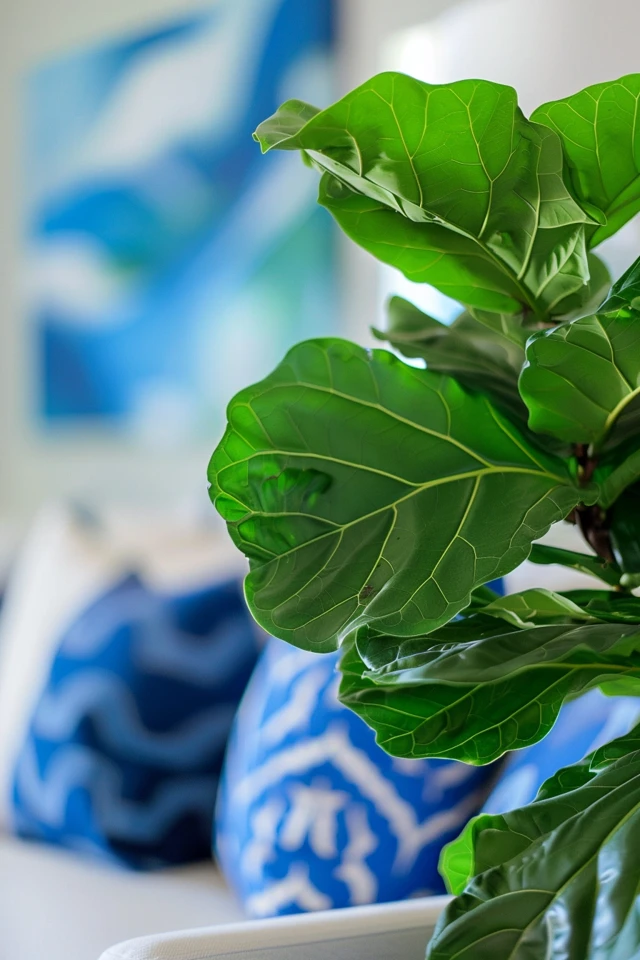 How To Save A Dying Fiddle Leaf Fig: Revival Strategies - photo 2