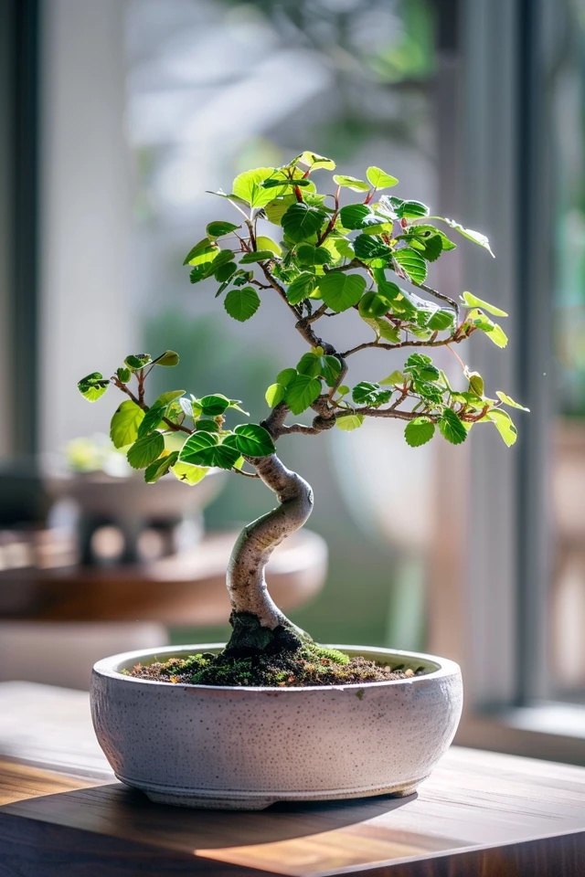 How To Grow Bonsai From Cuttings: Beginner’s Guide
