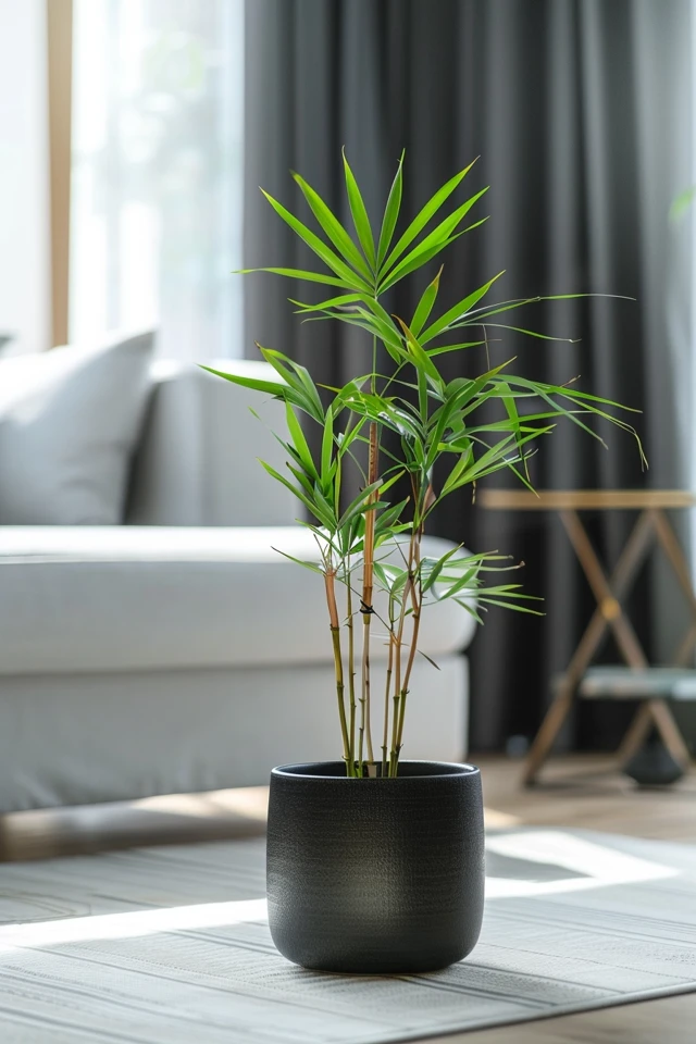 How To Cut Off A Yellow Bamboo Stalk: Plant Health