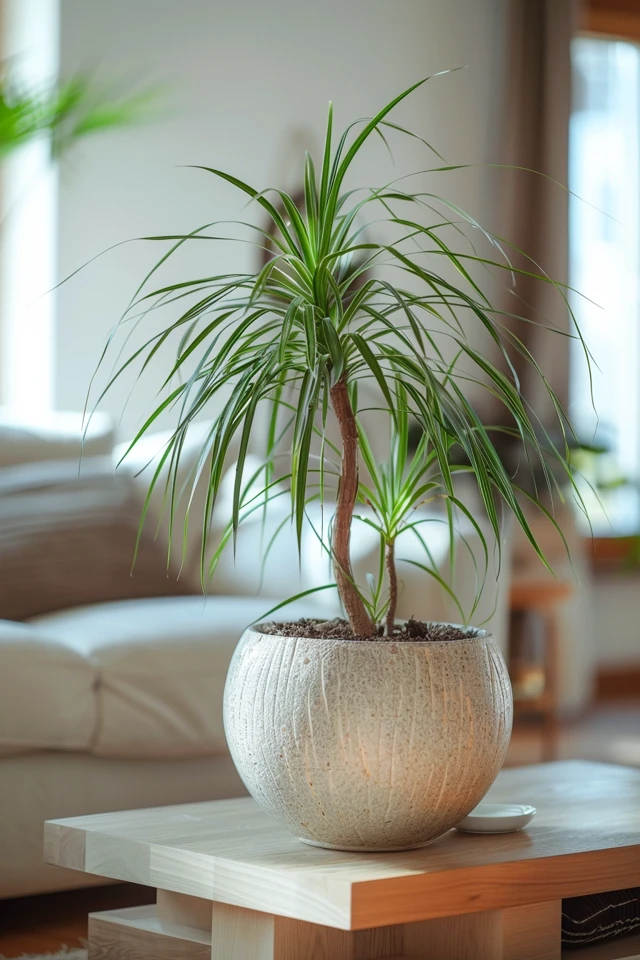 Root Rot: Identifying the Problem