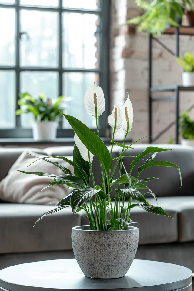 Propagation Tips
