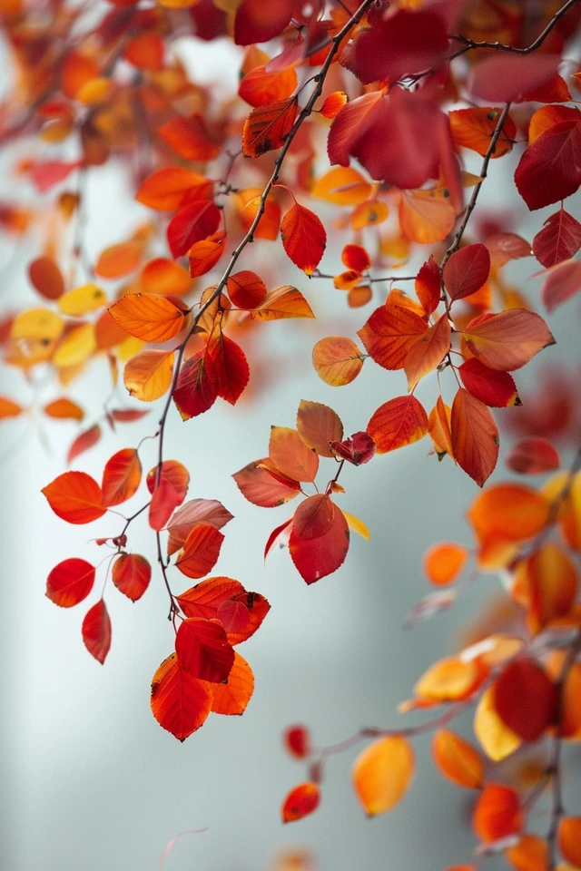 DIY Fall Door Decorations: Create Your Own Festive Front Door