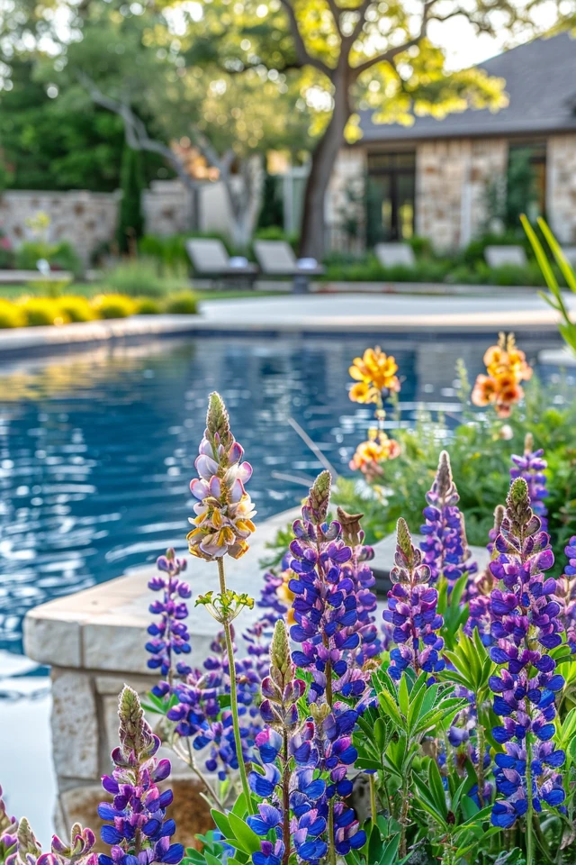 Texas Pool Landscaping: Chic & Sun-Ready Ideas