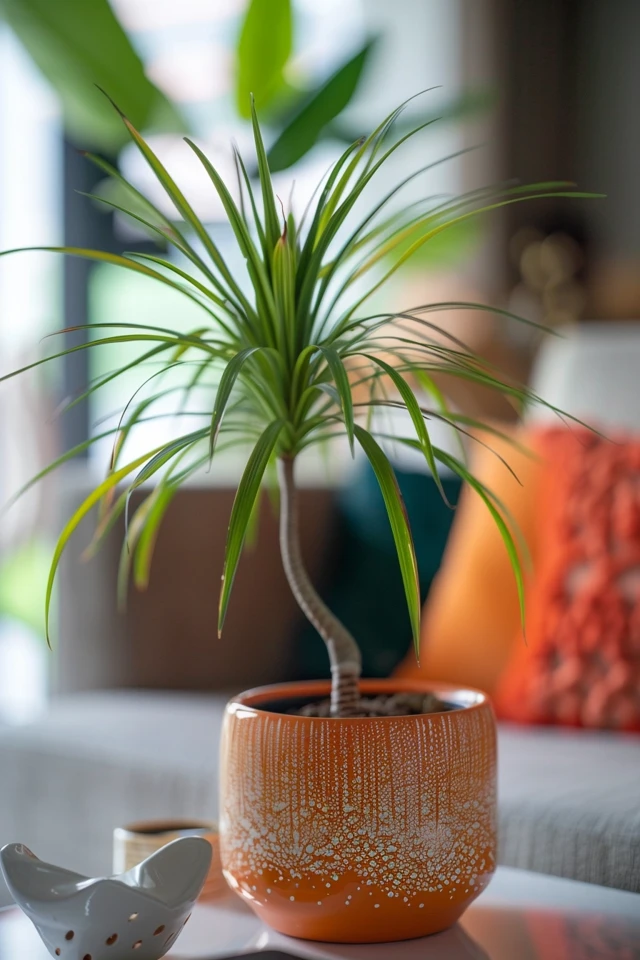 Prevent Root Rot