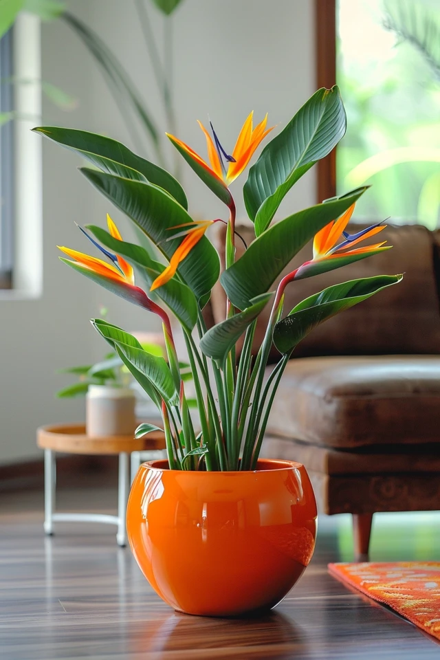 The Best Methods for Propagating Bird Of Paradise