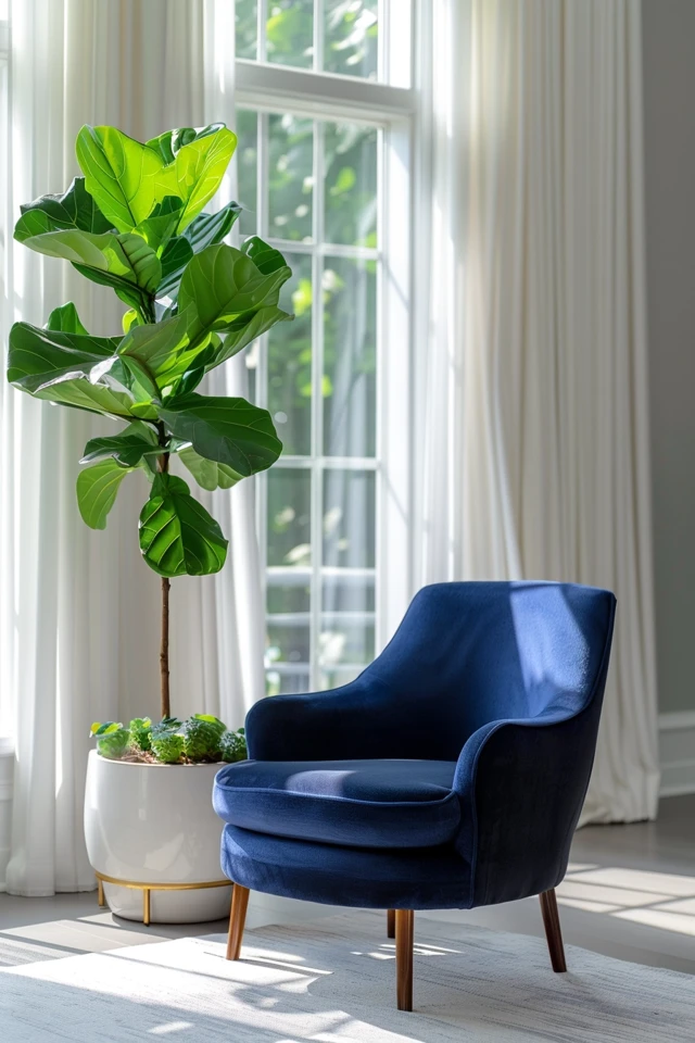Taking Your Fiddle Leaf Fig Outdoors