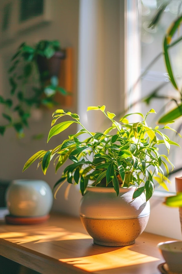 Creative Room Vines Ideas for Cozy Spaces - photo 2