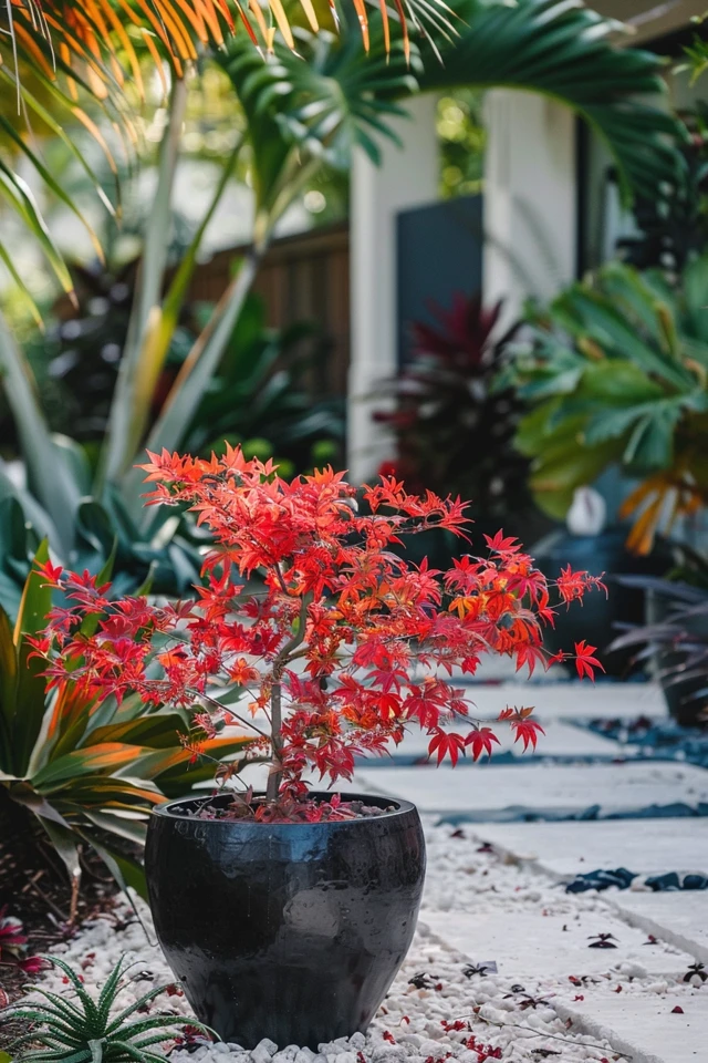 The Beauty of Burning Bush Landscaping