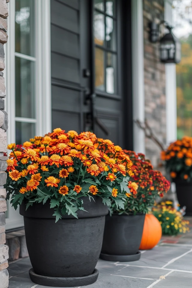 Spooky Halloween Front Porch Ideas to Terrify
