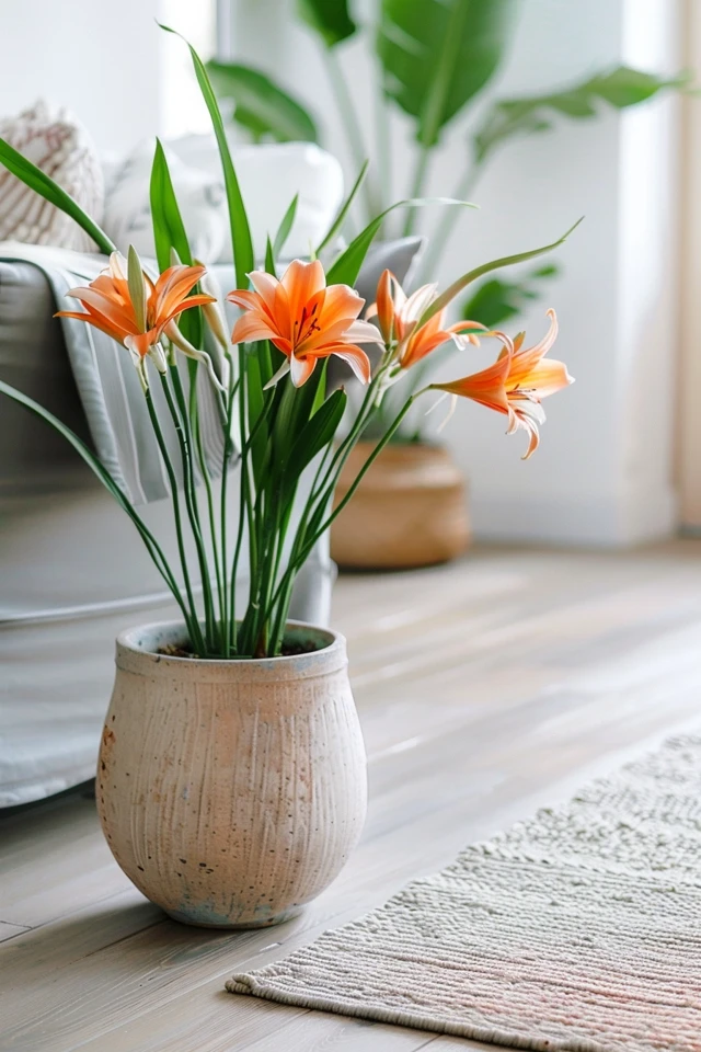 Coastal Flooring Ideas for Your Beachy Home Retreat