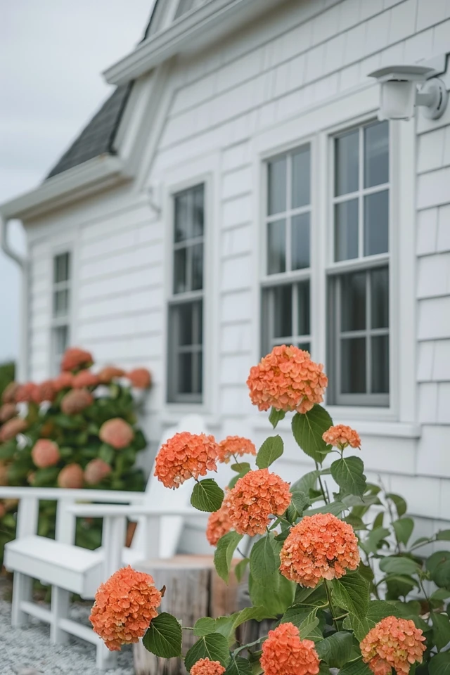 Affordable Siding Ideas
