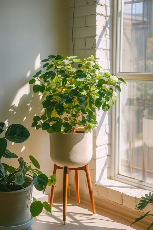 Choose Temporary Wall Treatments
