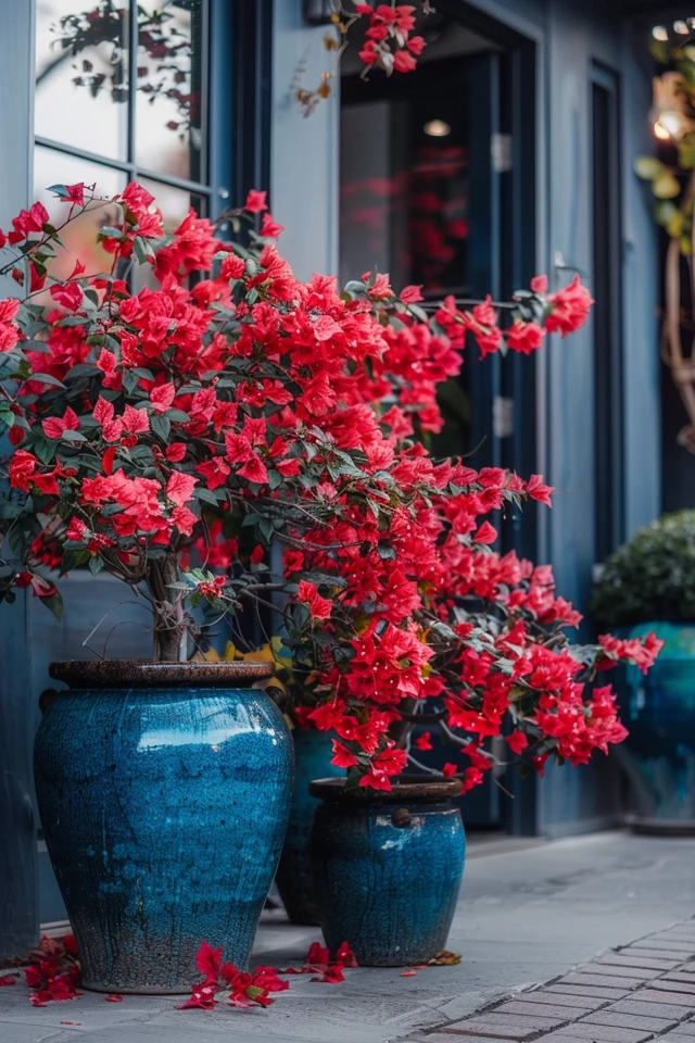 Igniting Style: Burning Bush Landscaping Ideas