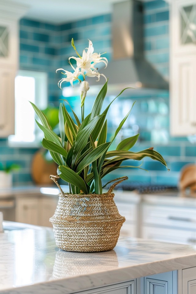 Create a Coastal Kitchen: Bright and Airy