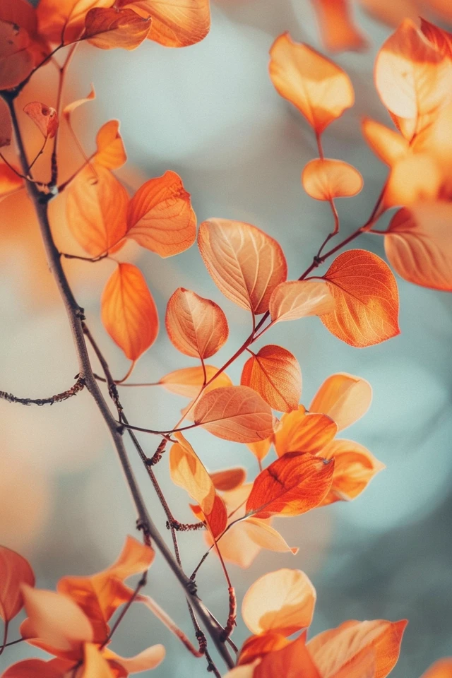 Fall Prints That Capture the Essence of Autumn
