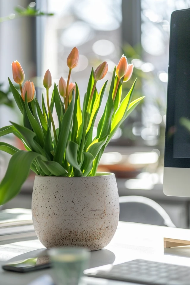 Vibrant Centerpieces