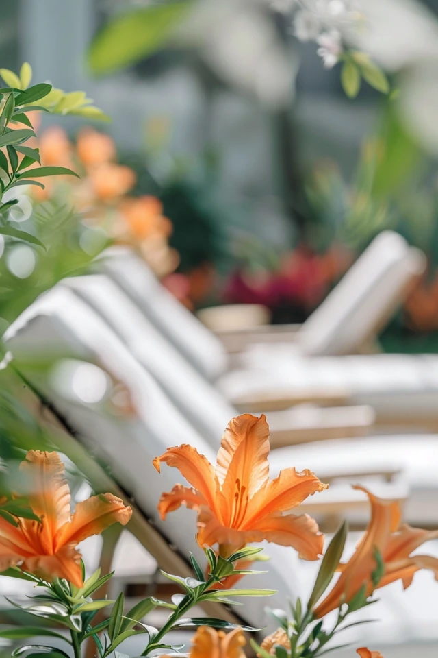 Creating the Perfect Outdoor Retreat