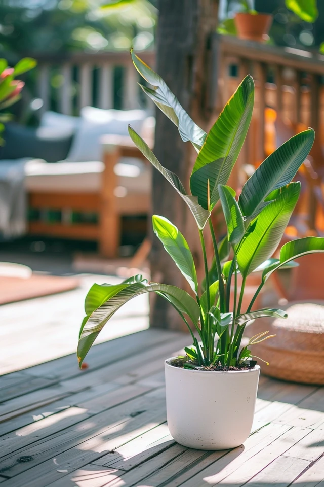 5 Tips for Zen Deck Design Ideas